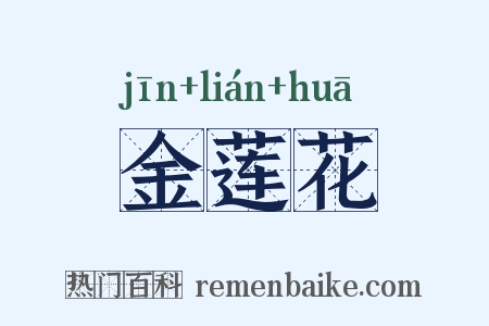 金莲花是什么意思的图片